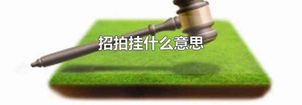 招拍挂什么意思