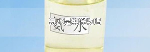 氨水是纯净物吗