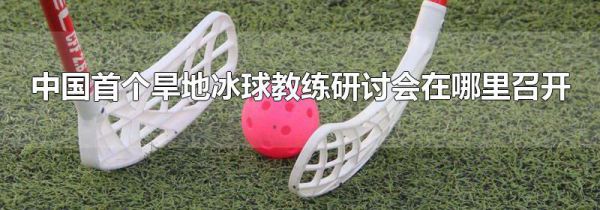 中国首个旱地冰球教练研讨会在哪里召开