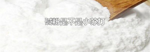 碱粉是不是小苏打