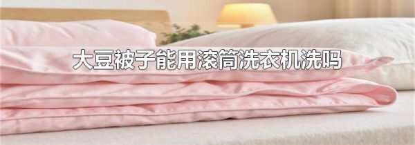 大豆被子能用滚筒洗衣机洗吗