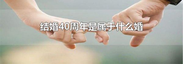 结婚40周年是属于什么婚