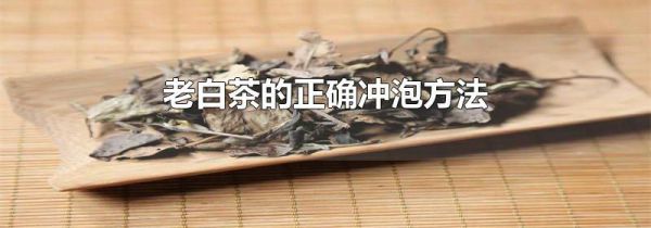 老白茶的正确冲泡方法