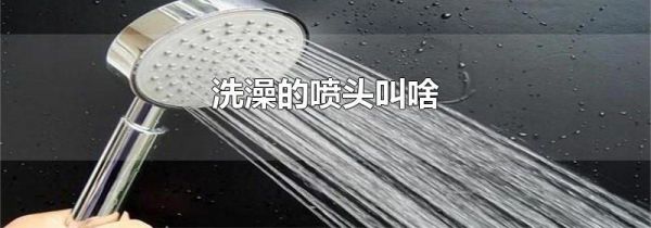 洗澡的喷头叫啥