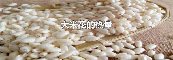 大米花的热量