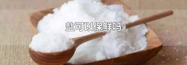 盐可以保鲜吗