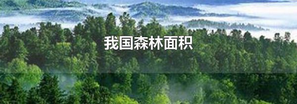 我国森林面积