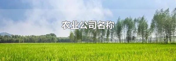 农业公司名称