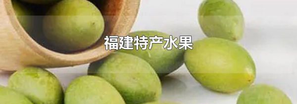 福建特产水果
