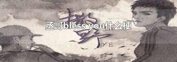 丞哥bless you什么梗