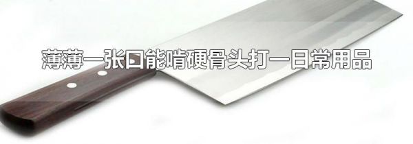 薄薄一张口能啃硬骨头打一日常用品