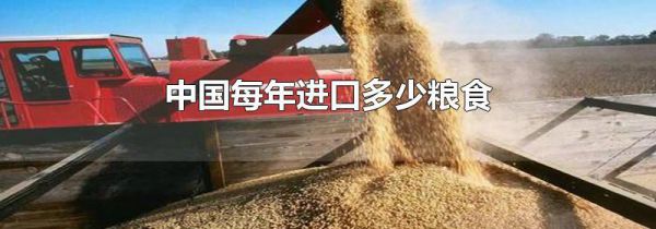 中国每年进口多少粮食