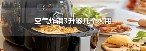 空气炸锅3升够几个人用