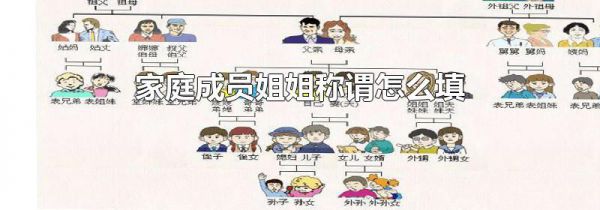 家庭成员姐姐称谓怎么填