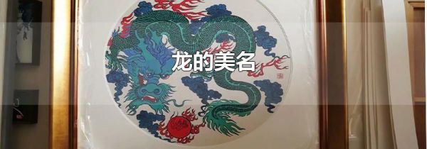 龙的美名