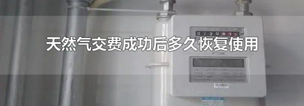 天然气交费成功后多久恢复使用