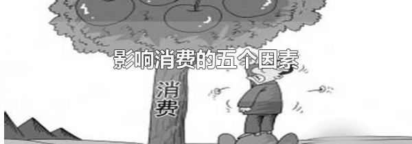 影响消费的五个因素