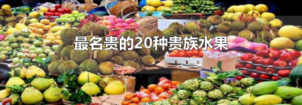 最名贵的20种贵族水果