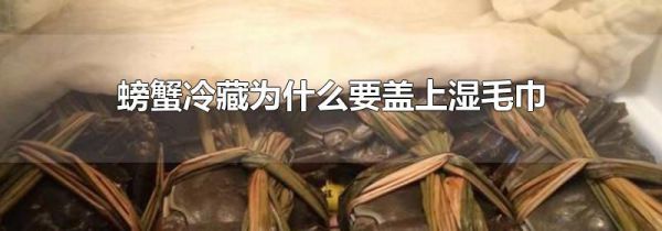 螃蟹冷藏为什么要盖上湿毛巾