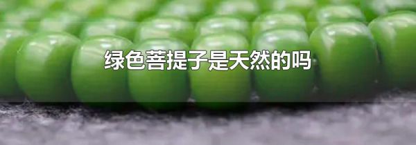 绿色菩提子是天然的吗