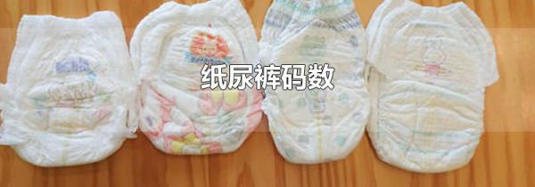 纸尿裤码数