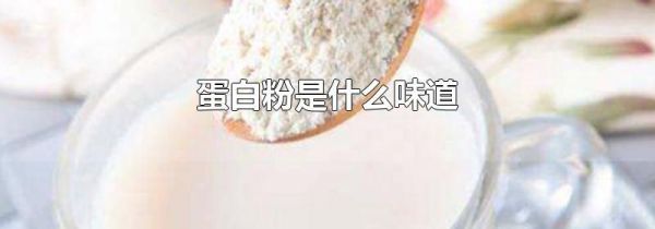 蛋白粉是什么味道