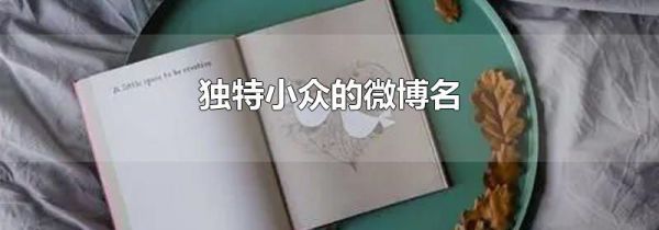 独特小众的微博名