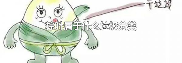 粽叶属于什么垃圾分类