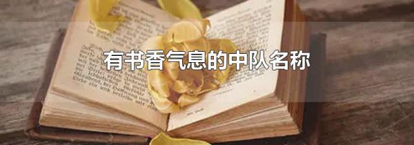有书香气息的中队名称