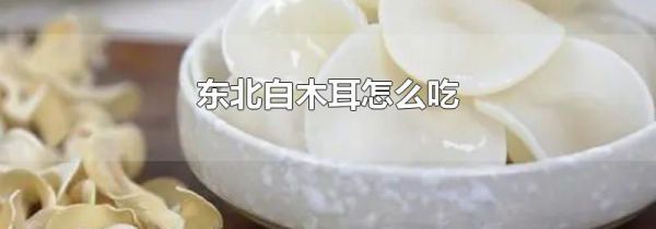 东北白木耳怎么吃