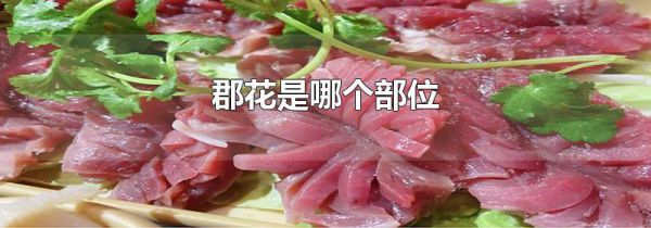 郡花是哪个部位