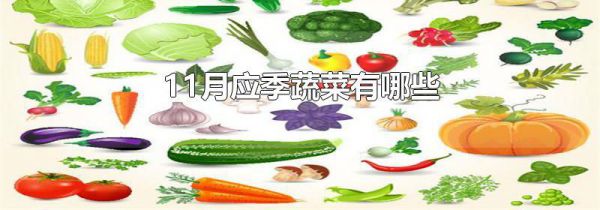 11月应季蔬菜有哪些