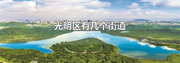 光明区有几个街道