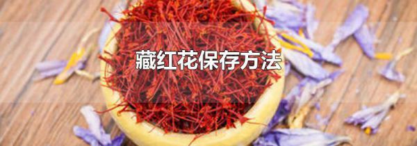 藏红花保存方法