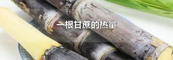 一根甘蔗的热量