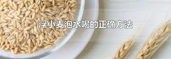 浮小麦泡水喝的正确方法