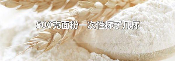 500克面粉一次性杯子几杯