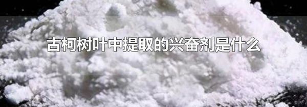 古柯树叶中提取的兴奋剂是什么