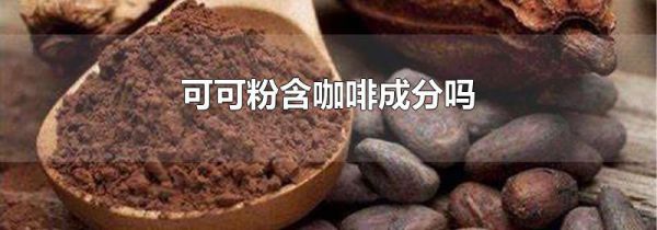 可可粉含咖啡成分吗