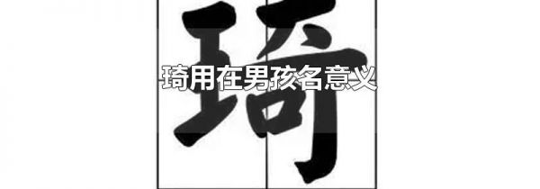 琦用在男孩名意义