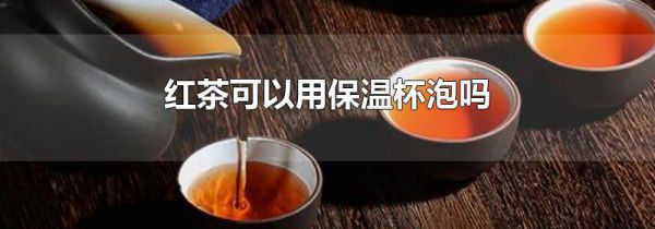 红茶可以用保温杯泡吗
