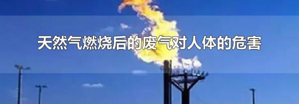 天然气燃烧后的废气对人体的危害
