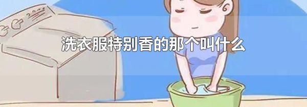 洗衣服特别香的那个叫什么