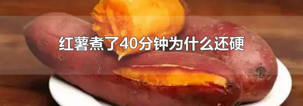 红薯煮了40分钟为什么还硬