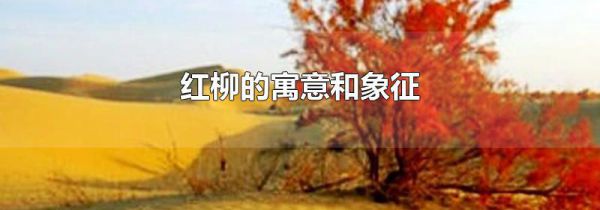 红柳的寓意和象征