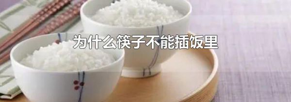 为什么筷子不能插饭里