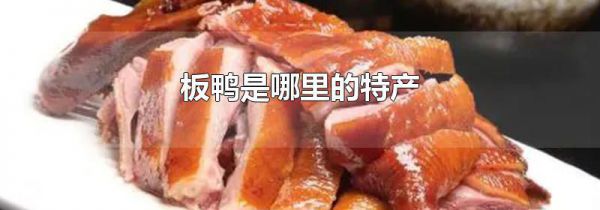 板鸭是哪里的特产