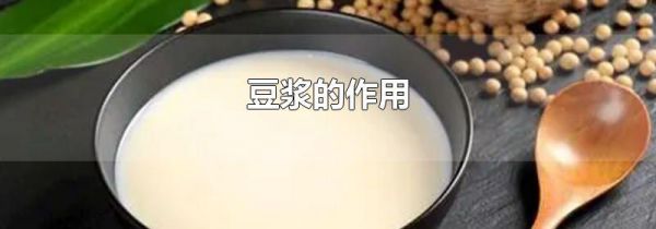 豆浆的作用