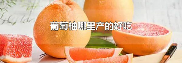 葡萄柚哪里产的好吃