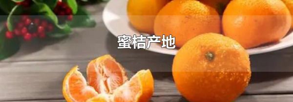 蜜桔产地